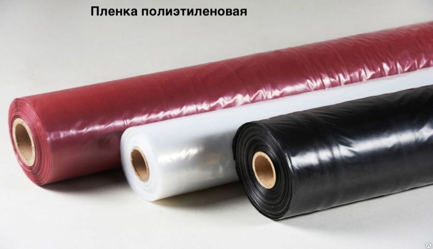 пленка